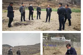 山阳漫川关镇：统筹规划、合理布局做大做强中药材产业图片