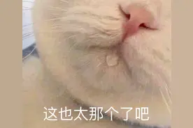 2021最香的热搜，今晚之后谁敢骂她贱骨头图片