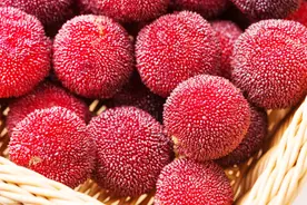 每吃1颗杨梅，就等于吃10只虫？吓得我都不敢吃了图片