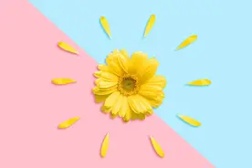 痔疮难以根治，但有“死敌”！做好6件事，告别痛痒、肿大和出血图片