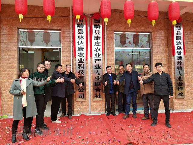 「西畴新闻」林亚达：珠宝界里奔出的养鸡人