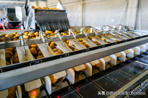 土豆到底能不能当饭吃？袁隆平生前是这么说的