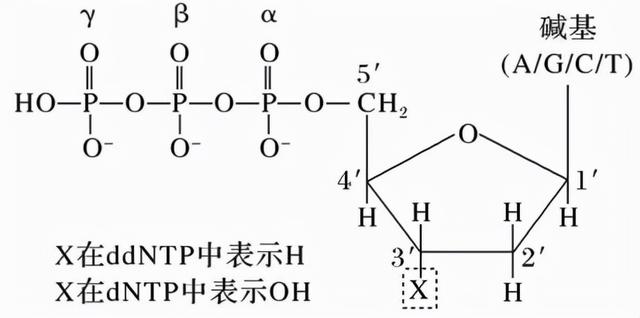 广东省普通高中2022届高三上学期10月阶段性质量检测+生物