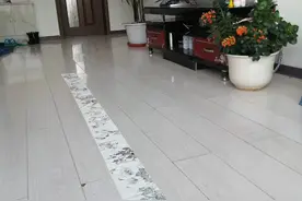 疫情期间卫生纸作画，奉献给朋友几个小动物，非常时期留个几年吧图片