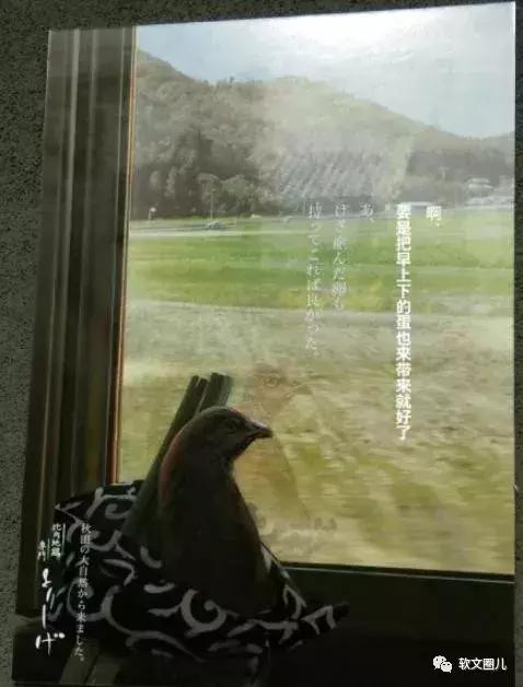 餐厅广告文案的8个实用策略,让顾客非来你餐厅不可