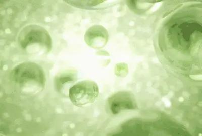 身体乳可以擦牛皮鞋吗 身体乳可以擦牛皮鞋吗