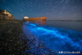 想拍好片，唯有“死”等！4分钟带你捕捉动态荧光海图片