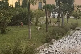 曹妃甸区不文明行为随手拍·第二期图片