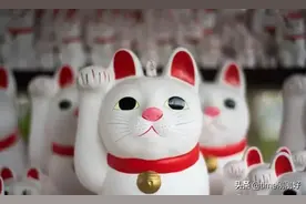 五个赚钱网站，适合上班族打造“睡后”收入，帮你摆脱死工资图片