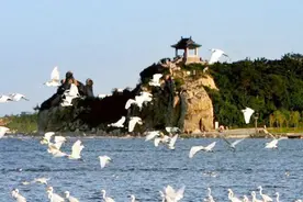 东北最宜居的城市，将被打造成下一座厦门，是你的家乡吗？视频封面