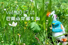 线路推荐 | 高山草甸经典穿越路线——巴朗山穿邓生沟图片