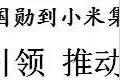李鸿忠廖国勋到小米集团调研并与雷军座谈图片