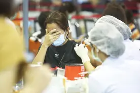 疫情下的泰国，连大象都失业了图片