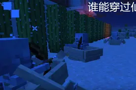我的世界：值得使用的六种防御方案，仙人掌很常见，蜜蜂见过吗？图片