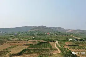 王全峰：凤凰山探奇图片