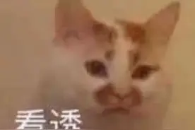 藏在你身体里的“幻影”，竟然能用它看清……图片
