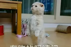 斗图沙雕表情 | 有些话我们在被窝里悄悄说图片