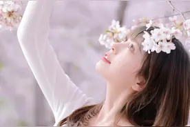 清纯妹子与樱花同框，让你欲罢不能图片