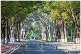 华中师范大学：公费师范生有多好，就有多难！图片