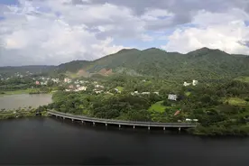 雨后·白鹭湖畔·蜗牛出行图片
