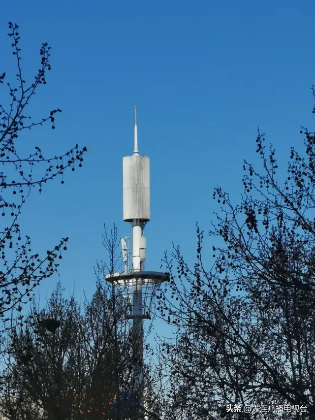 大连电视台网站建设（定了数字大连这样建）