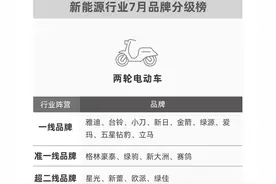 买电动车，哪个比较好，电动车分级来了，看看各品牌都是什么等级图片