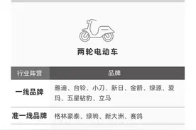 买电动车，哪个比较好，电动车分级来了，看看各品牌都是什么等级图片
