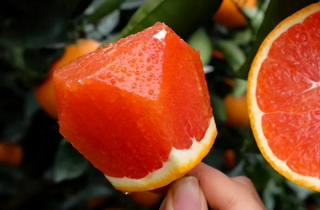 甜润可口的血橙，果肉颜色为什么各不相同？专家：颜色随甜度变化