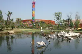 南京金牛湖野生动物园（下）图片