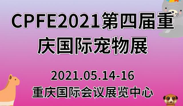 合肥干果包装机械展