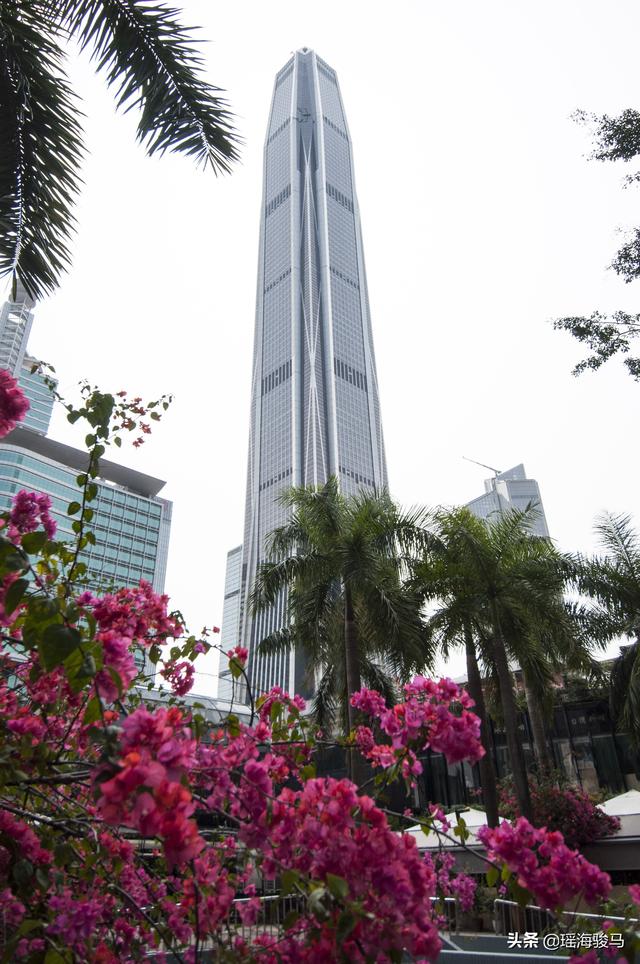 深圳最高楼:平安金融中心