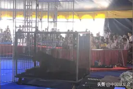 重庆吾悦广场：动物的“受刑广场”图片