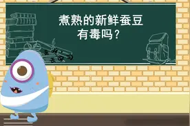 煮熟的新鲜蚕豆有毒吗？图片
