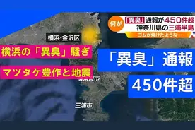 日本空气中频现神秘臭味，真是大地震的前兆？图片