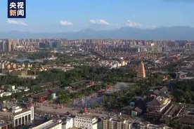 央视：西安大雁塔恢复开放日限流5000人图片
