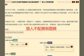魔兽世界：猎人不配拥有图腾？萨满图腾只给狂暴战服务图片