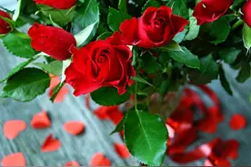 女人经常用“玫瑰花”泡水喝有什么好处？或许冲泡方法更值得学习图片