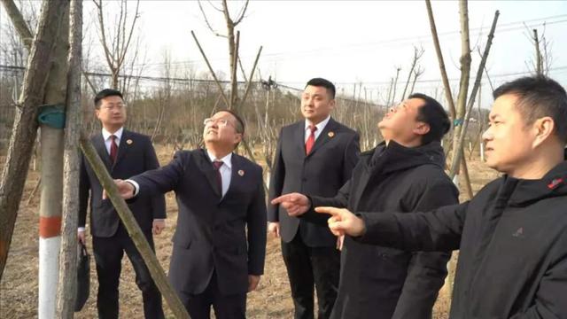 吉林矿山全自动洗砂机用途