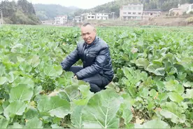 面对瘫痪的妻子，他选择这样做！图片
