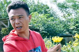 体育老师变身菊农，武汉第一就是他图片
