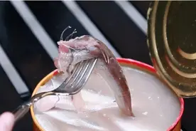 飞机最高等级违禁品“鲱鱼罐头”，在高空中为何容易变生化武器？图片