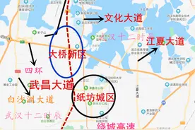 <武汉城建>武昌大道快速化改造，再次提上议程图片