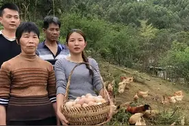 95后女孩郑玲娟曾经不顾家人反对，辞职回家养土鸡，如今还好吗图片