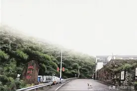 寻访双叶古村：传统文化传承弘扬 让古村“活”起来图片