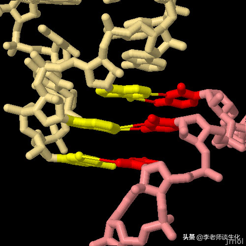 遗传密码与核糖体结构研究