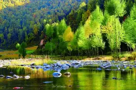 青海人，“醉”美赏秋路线来啦图片