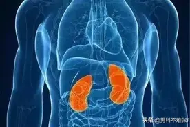 男人千万不要再乱补肾了，许多症状不要都让肾来背锅图片