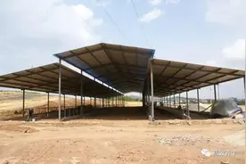 养牛年赚百万的宝哥牛舍是怎么建设的-现代化牛圈设计图
