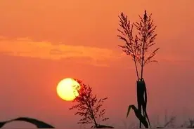 一轮红日升起在东方图片