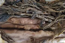 南宁横县大头菜，乾隆年间驰名中外，当地人称“土鱿鱼”图片